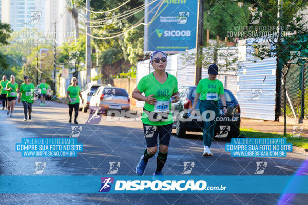 Vale Verde Run 2024