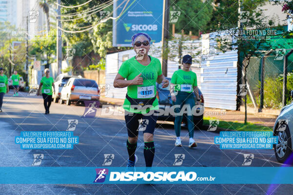 Vale Verde Run 2024