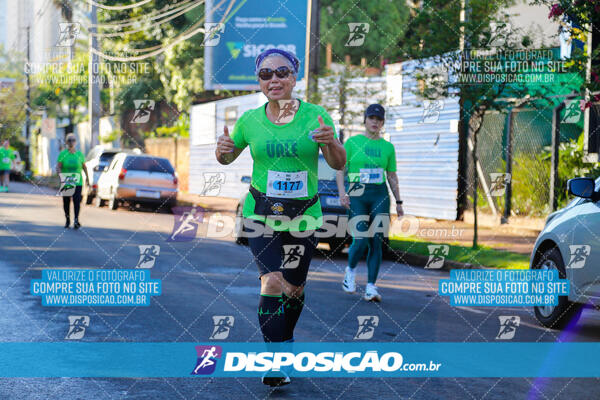 Vale Verde Run 2024