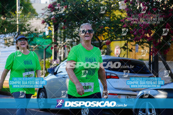 Vale Verde Run 2024