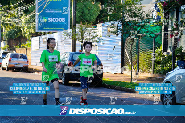 Vale Verde Run 2024