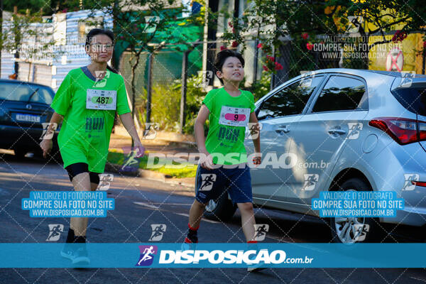 Vale Verde Run 2024