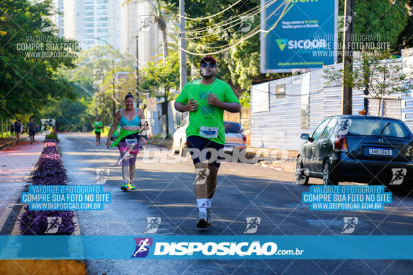 Vale Verde Run 2024