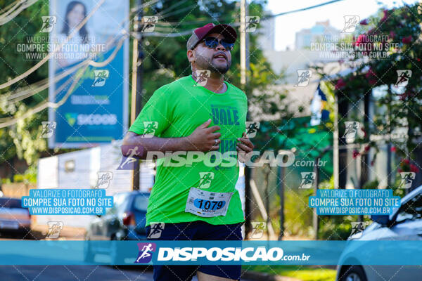 Vale Verde Run 2024