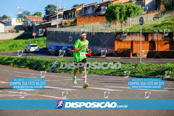 Vale Verde Run 2024