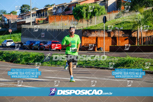 Vale Verde Run 2024