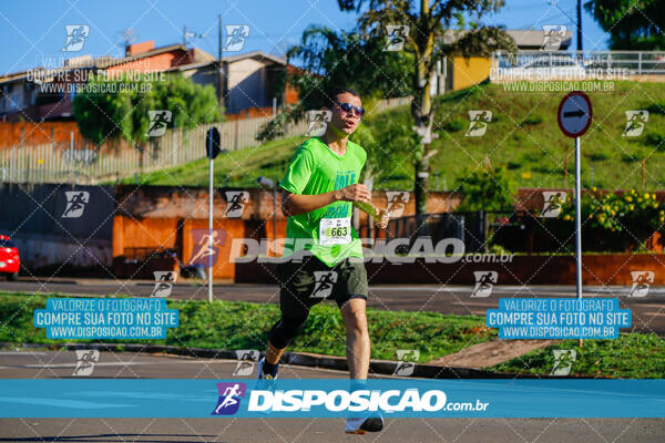 Vale Verde Run 2024