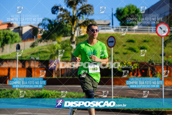 Vale Verde Run 2024