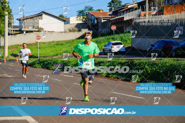 Vale Verde Run 2024