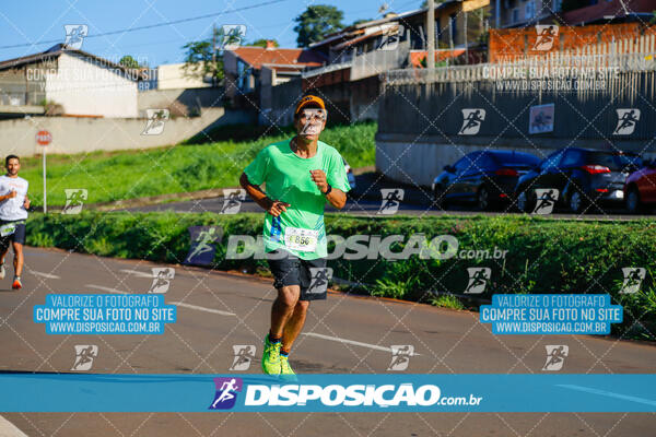 Vale Verde Run 2024