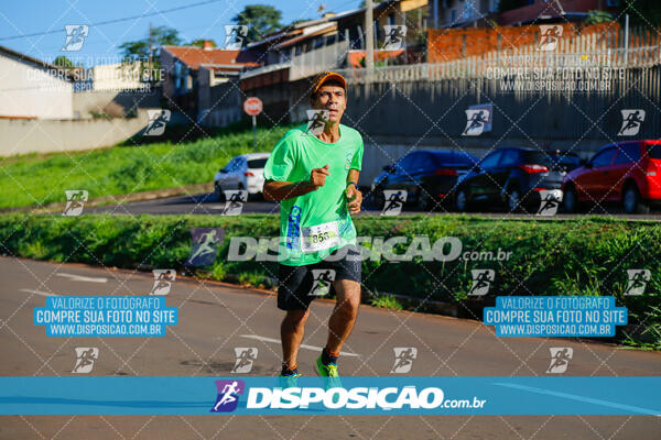 Vale Verde Run 2024