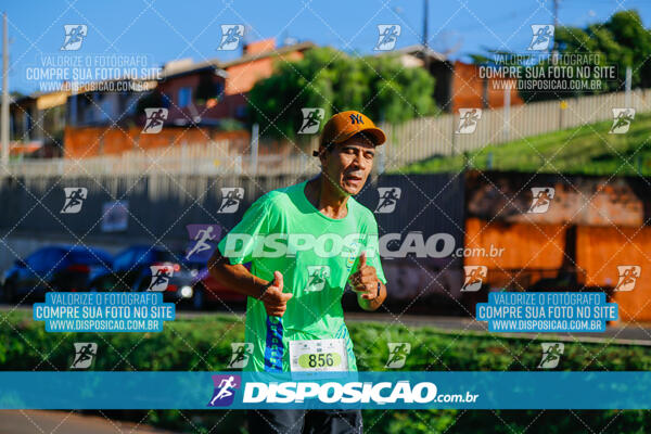 Vale Verde Run 2024