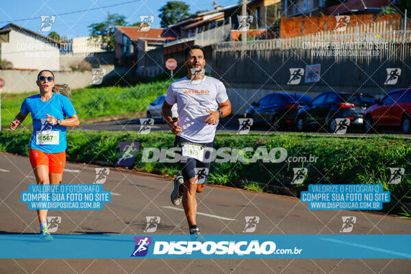 Vale Verde Run 2024