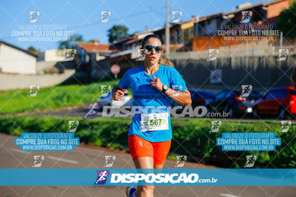 Vale Verde Run 2024