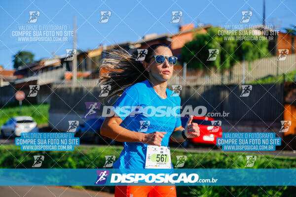 Vale Verde Run 2024