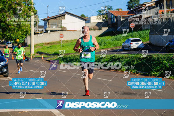 Vale Verde Run 2024