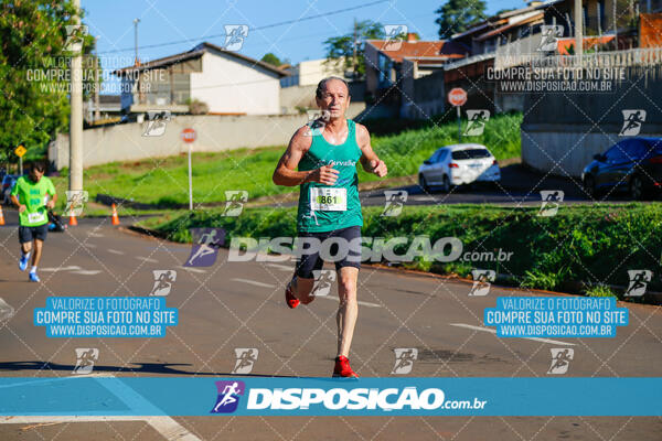 Vale Verde Run 2024