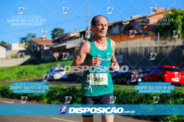 Vale Verde Run 2024