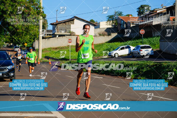 Vale Verde Run 2024