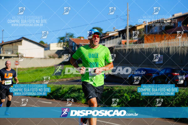 Vale Verde Run 2024