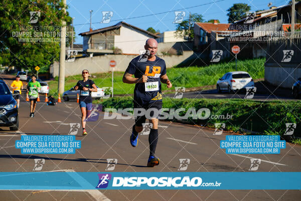 Vale Verde Run 2024