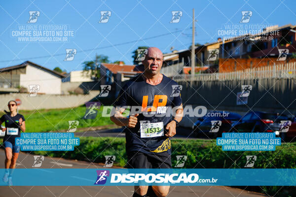 Vale Verde Run 2024