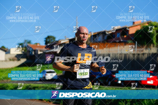 Vale Verde Run 2024