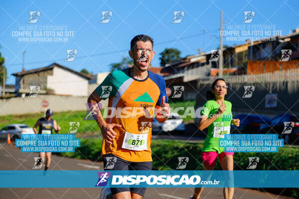 Vale Verde Run 2024