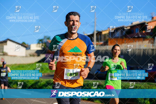 Vale Verde Run 2024