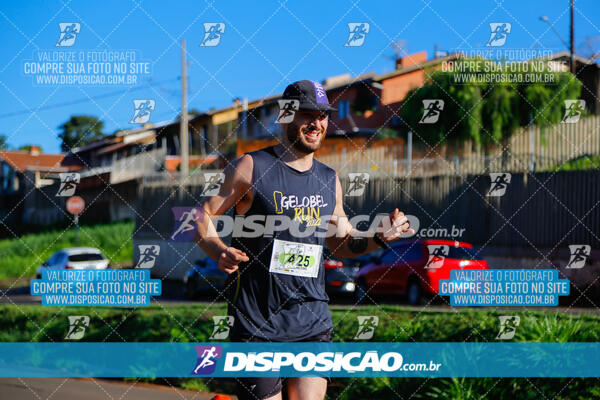 Vale Verde Run 2024