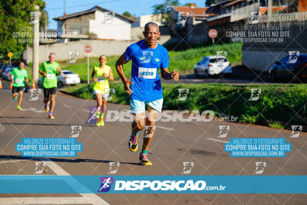 Vale Verde Run 2024