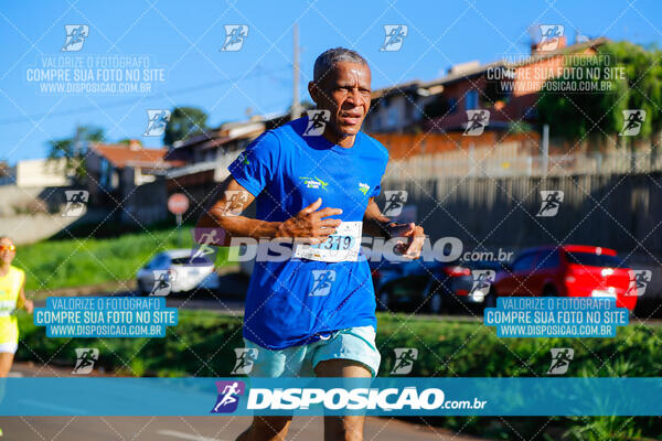 Vale Verde Run 2024