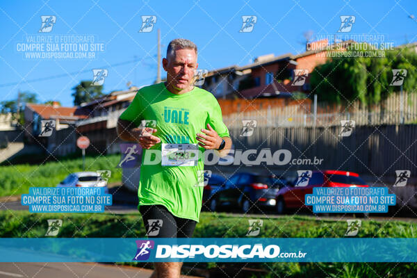 Vale Verde Run 2024