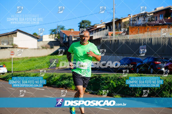 Vale Verde Run 2024