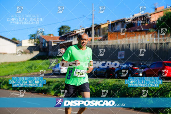 Vale Verde Run 2024