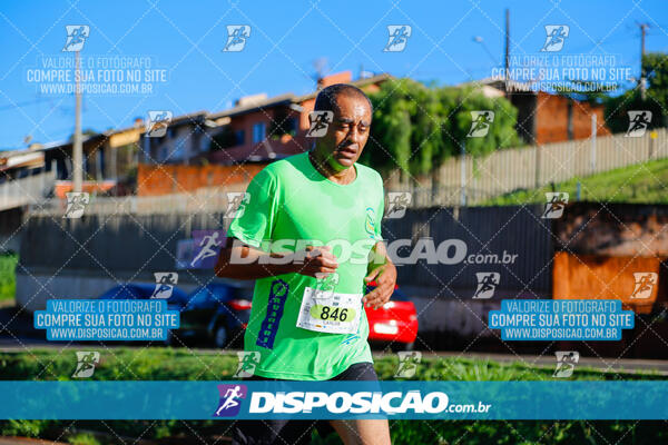 Vale Verde Run 2024