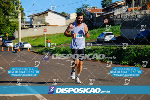 Vale Verde Run 2024