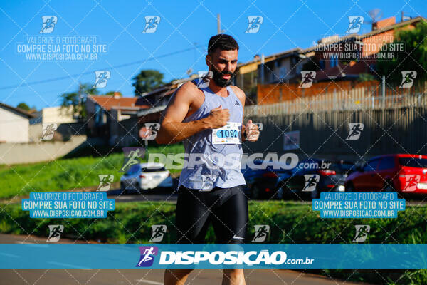 Vale Verde Run 2024