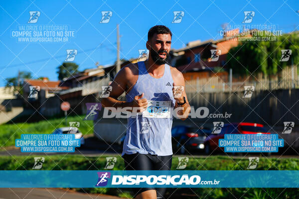 Vale Verde Run 2024