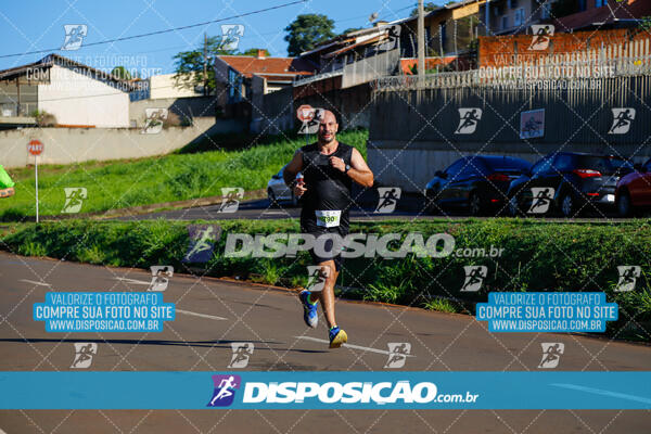 Vale Verde Run 2024