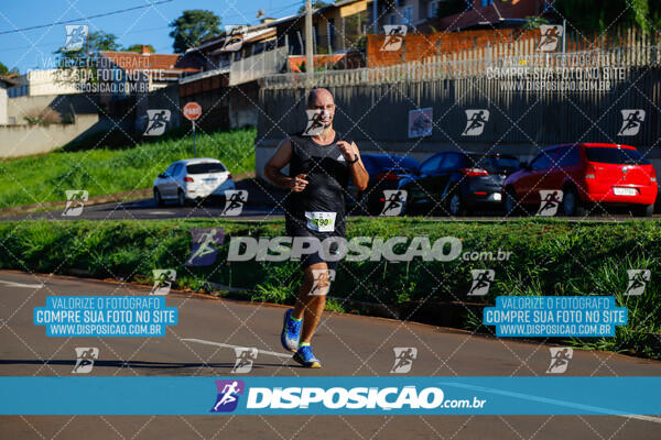 Vale Verde Run 2024