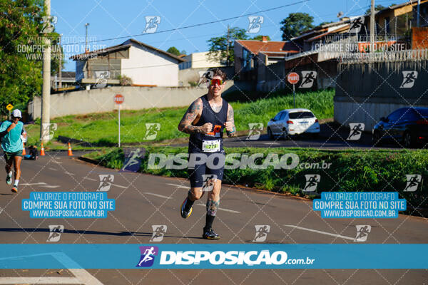 Vale Verde Run 2024