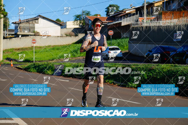 Vale Verde Run 2024