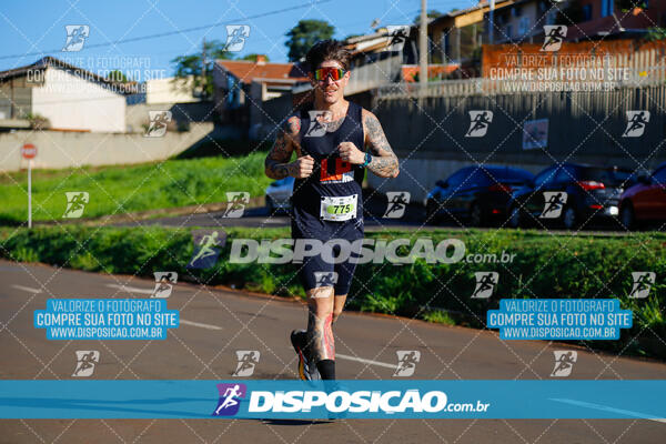 Vale Verde Run 2024