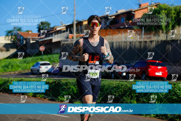 Vale Verde Run 2024