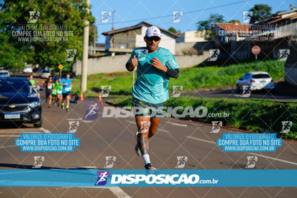 Vale Verde Run 2024