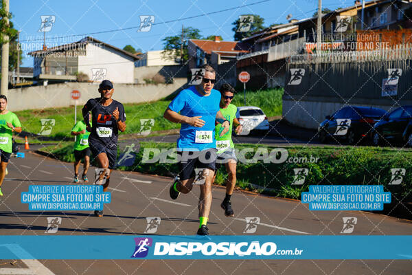 Vale Verde Run 2024