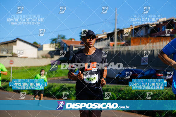 Vale Verde Run 2024