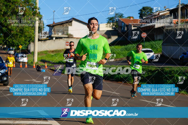 Vale Verde Run 2024