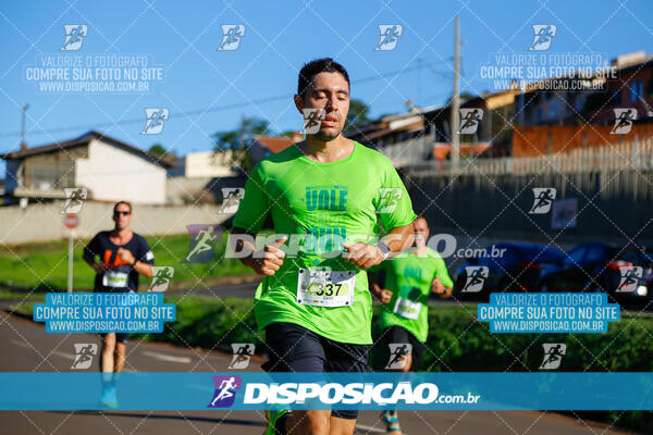 Vale Verde Run 2024